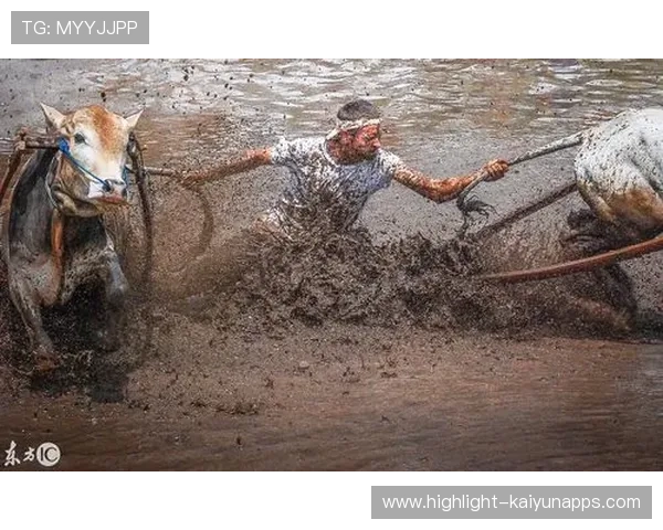 公牛陷重建泥潭